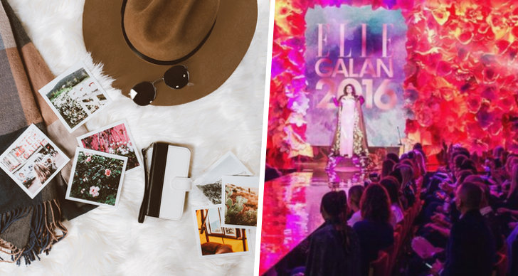Elsa Billgren, Ellegalan 2019, årets influencer