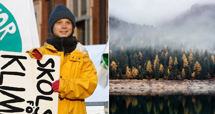 Greta Thunberg får priset The Perfect World "The Conservationist of the Year".