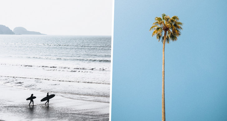 Till vänster ser du två styckna som surfar. På den högra bilden ser du en palm. 